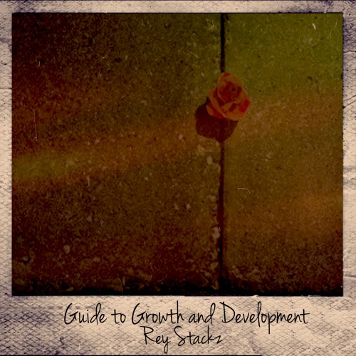 Rey_Stackz__Guide_to_Growth___Development_Cover